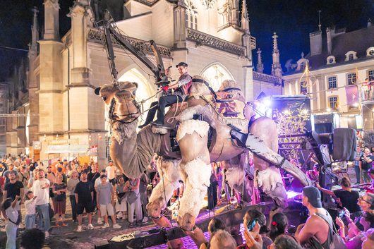 Compagnie Paris Bénarès – Giant Camel (FR)
