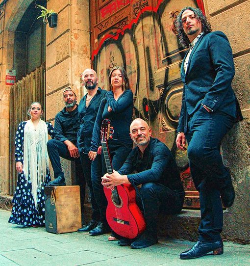 Sarsale Flamenco 3 korr