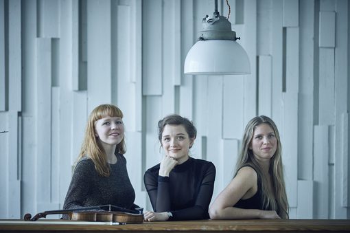 Vesselil dk nordic vocal string folk 48013102402 o