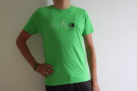 BB16 Shirt Herren grün